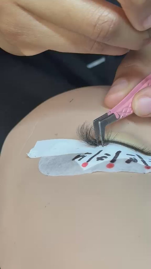 lash application for Beauty allure 2 day 1:1 lash course